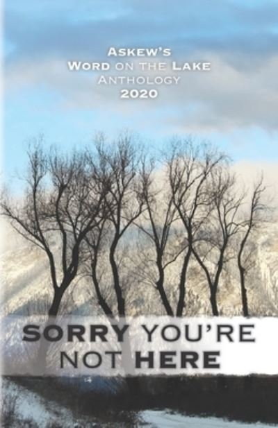 Scott Fitzgerald Gray · Sorry You're Not Here (Paperback Book) (2020)