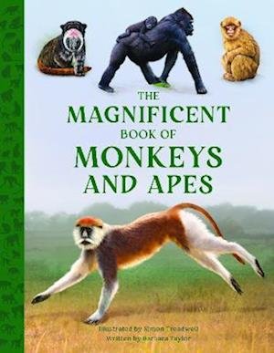 Cover for Barbara Taylor · The Magnificent Book of Monkeys and Apes - The Magnificent Book of (Hardcover bog) (2023)