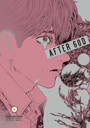 Cover for Sumi Eno · After God, Vol. 6 - After God (Paperback Book) (2025)