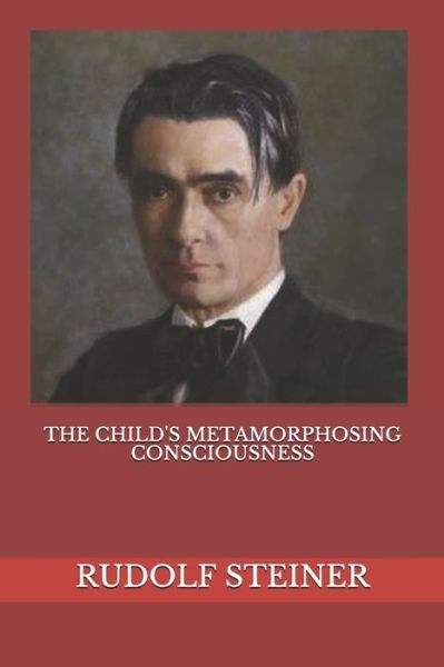 Cover for Frederick Amrine · The Child's Metamorphosing Consciousness (Paperback Book) (2018)