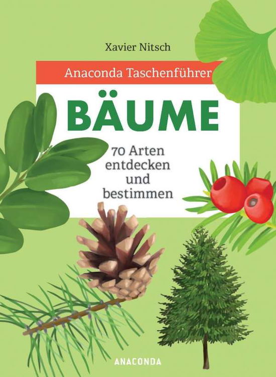 Cover for Nitsch · Anaconda Taschenführer Bäume (Buch)