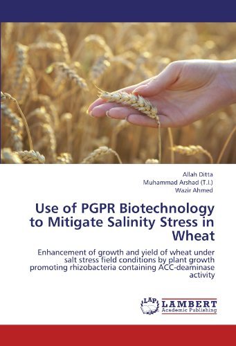 Cover for Wazir Ahmed · Use of Pgpr Biotechnology to Mitigate Salinity Stress in Wheat: Enhancement of Growth and Yield of Wheat Under Salt Stress Field Conditions by Plant ... Containing Acc-deaminase Activity (Paperback Book) (2011)