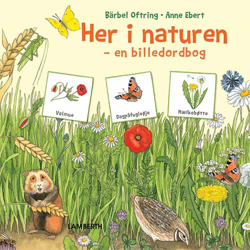 Cover for Bärbel Oftring · Her i naturen (Bound Book) [1st edition] (2018)