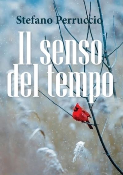 Cover for Stefano Perruccio · Il senso del tempo (Paperback Book) (2019)