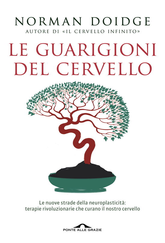 Cover for Norman Doidge · Le Guarigioni Del Cervello. Le Nuove Strade Della Neuroplasticita: Terapie Rivoluzionarie Che Curano Il Nostro Cervello (Book)