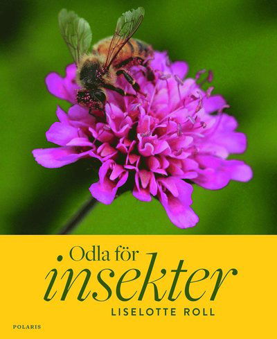 Cover for Liselotte Roll · Odla för insekter (Innbunden bok) (2020)