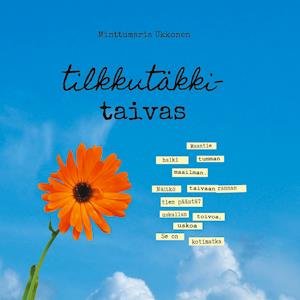 Cover for Minttumaria Ukkonen · Tilkkutäkkitaivas (Hardcover Book) (2021)