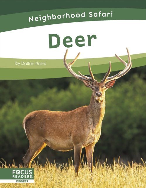 Cover for Dalton Rains · Neighborhood Safari: Deer (Paperback Book) (2024)