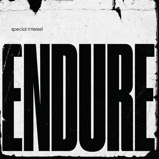 Cover for Special Interest · Endure (LP) [Indie Shop edition] (2022)