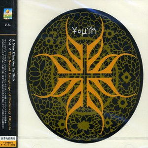 Cover for Youth · Secret Language of Ordinar (CD) [Japan Import edition] (2009)