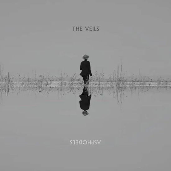 Cover for The Veils · Asphodels (LP) (2025)