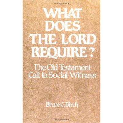 Cover for Bruce C. Birch · What Does the Lord Require?: the Old Testament Call to Social Witness (Taschenbuch) [1st edition] (1985)