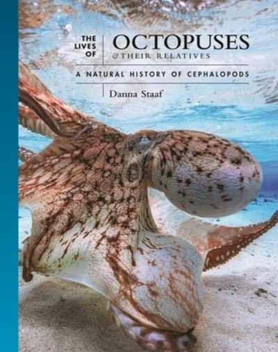 Cover for Danna Staaf · The Lives of Octopuses and Their Relatives: A Natural History of Cephalopods - The Lives of the Natural World (Innbunden bok) (2023)