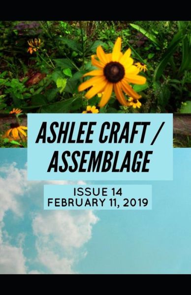 Issue 14 (Ashlee Craft / Assemblage) - Ashlee Craft - Kirjat - Independently Published - 9781091500303 - maanantai 25. maaliskuuta 2019