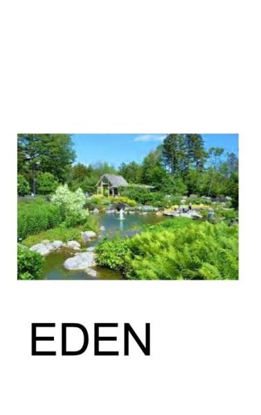 Cover for Ii Eduardo D. Merricks · Eden (Gebundenes Buch) (2017)