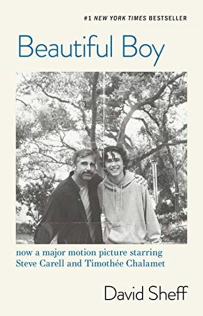 Beautiful Boy: A Father's Journey Through His Son's Addiction - David Sheff - Books - Simon & Schuster Ltd - 9781471182303 - December 27, 2018