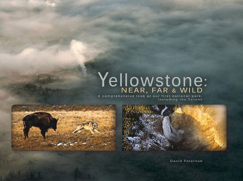 Cover for David Peterson · Yellowstone: Near, Far and Wild (Paperback Book) (2014)