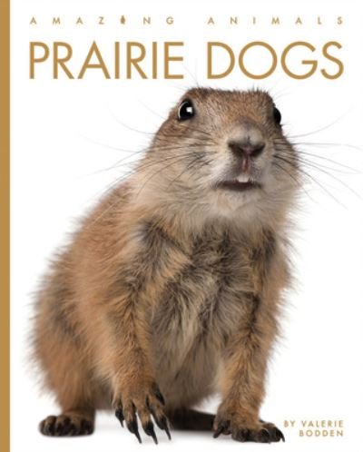 Cover for Valerie Bodden · Prairie Dogs (Bog) (2023)