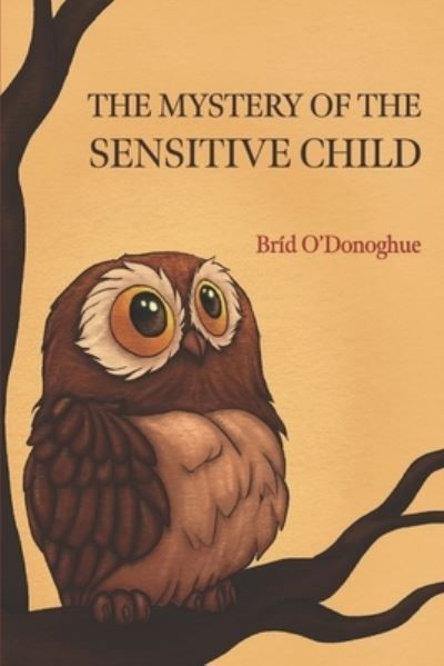 Cover for Bríd ODonoghue · Mystery of the Sensitive Child (Book) (2023)