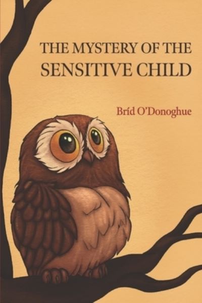 Mystery of the Sensitive Child - Bríd ODonoghue - Books - Unknown Publisher - 9781739316303 - July 4, 2023