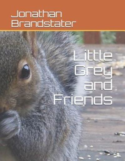 Cover for Jonathan Jay Brandstater · Little Grey and Friends (Paperback Book) (2018)