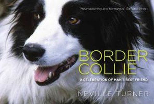 Border Collie - Neville Turner - Books - Dalesman Publishing Co Ltd - 9781855683303 - October 1, 2014