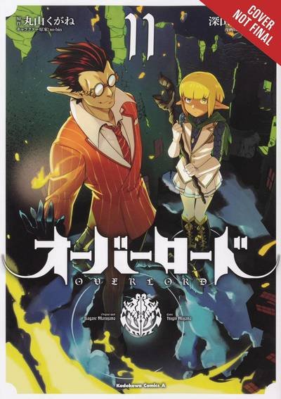 Cover for Kugane Maruyama · Overlord, Vol. 11 (manga) (Pocketbok) (2019)