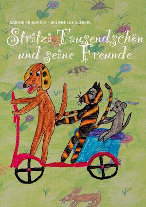 Cover for Brunhilde Schierl · Stritzi Tausendschön und seine Freunde (Paperback Book) (2021)