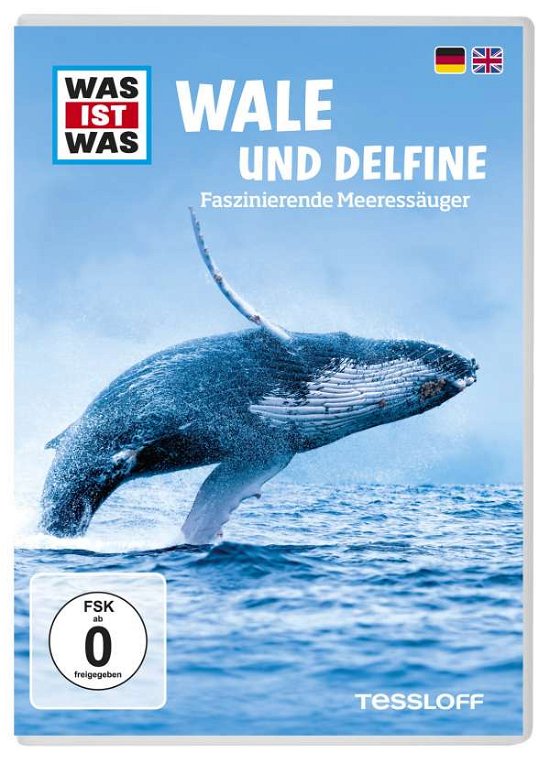 Cover for Was Ist Was Dvd-wale Und Delphine (DVD) (2016)