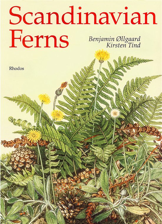 Cover for Benjamin Øllgaard · Scandinavian ferns (Heftet bok) [1. utgave] (1993)