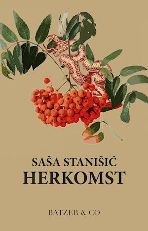 Cover for Sasa Stanisic · Herkomst (Sewn Spine Book) [1st edition] (2023)