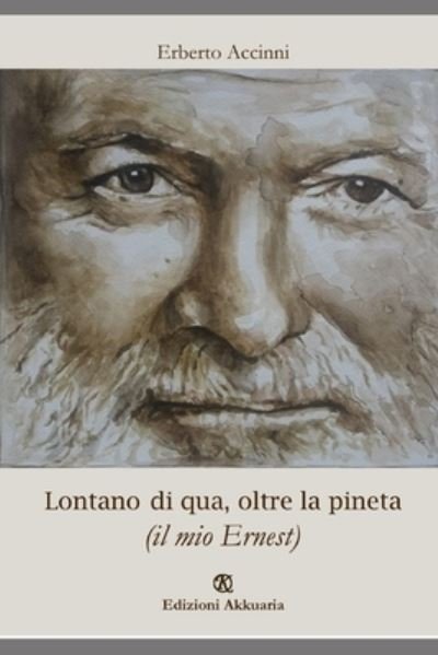 Cover for Erberto Accinni · Lontano di qua, oltre la pineta (Paperback Book) (2020)