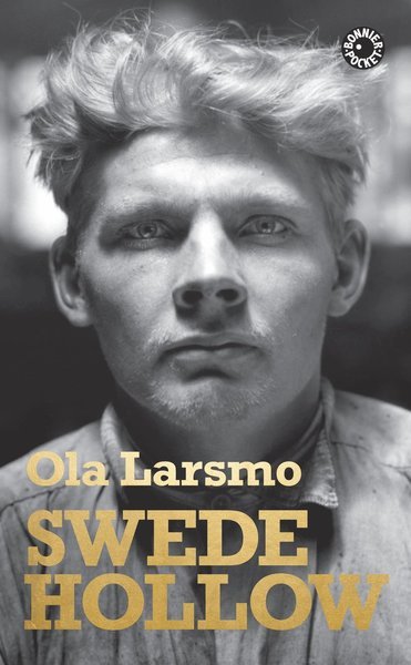 Cover for Ola Larsmo · Swede Hollow (Taschenbuch) (2017)