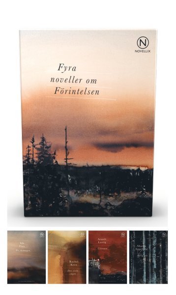 Cover for Aharon Appelfeld · Fyra noveller om Förintelsen (Book) (2019)