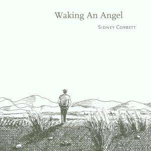 Waking An Angel - Various Artists - Musik - KREUZBERG RECORDS - 4018262260304 - 25. Februar 2002