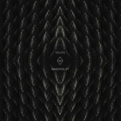 Cover for Phosphor · Youth &amp; Immortality (LP) (2013)