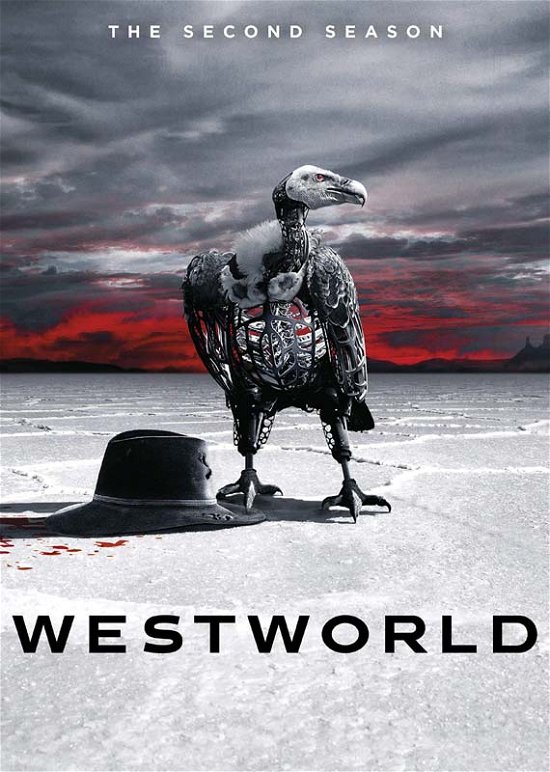 Cover for Westworld: Season 2 · Westworld Season 2 (DVD) (2018)