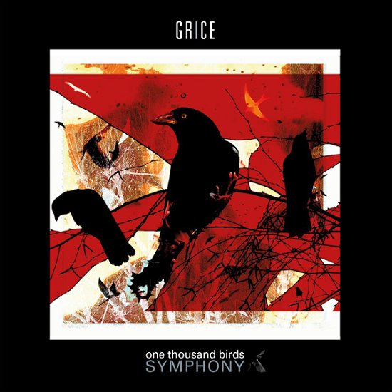 Cover for Grice · One Thousand Birds Symphony (CD) (2022)