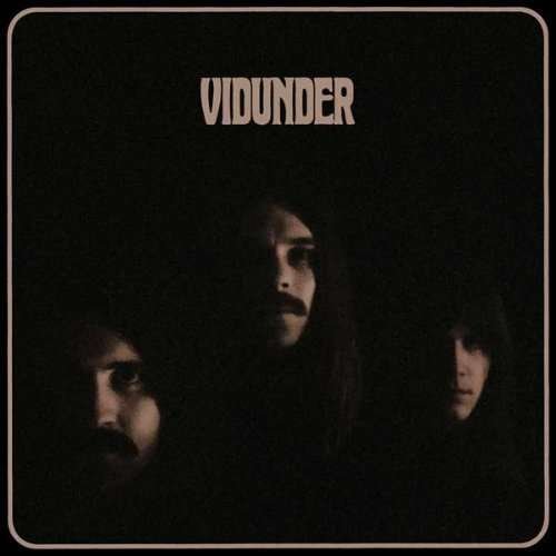 Cover for Vidunder (LP) (2013)