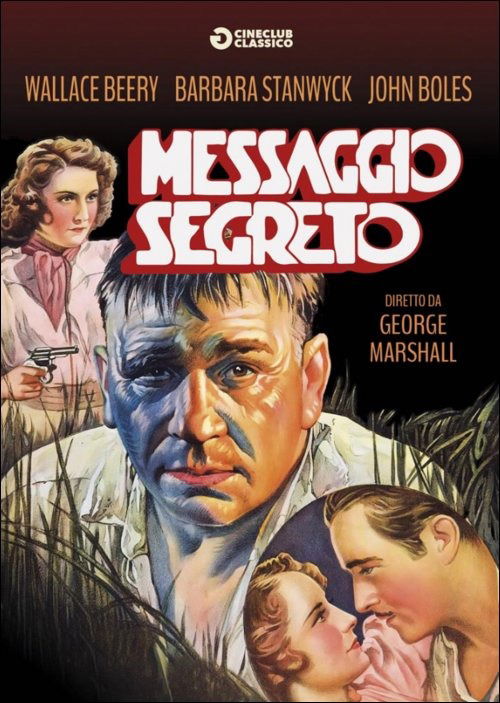 Cover for Messaggio Segreto (DVD) (2015)