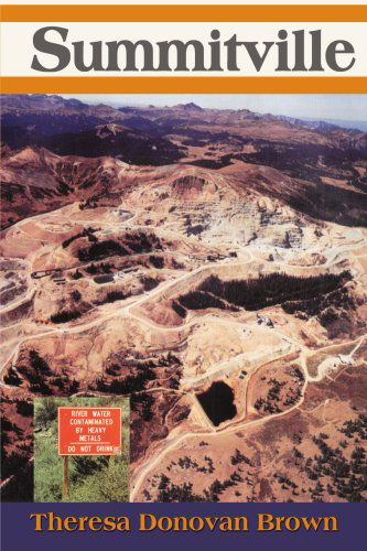 Cover for Theresa Brown · Summitville (Paperback Book) (2000)