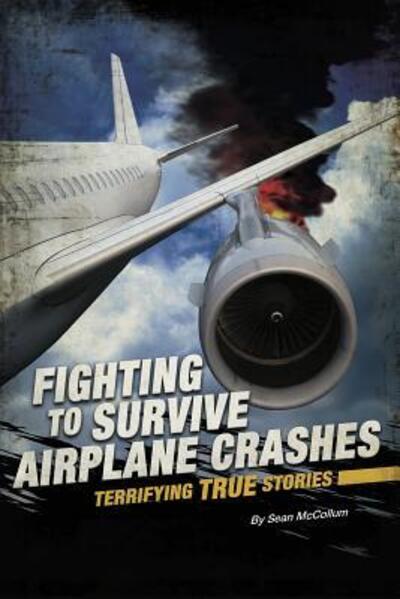 Cover for Sean McCollum · Airplane Crashes - Fighting to Survive (Paperback Book) (2019)