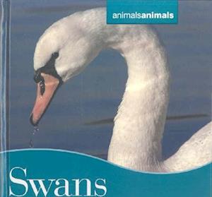 Cover for Melissa Stewart · Swans (Hardcover Book) (2008)