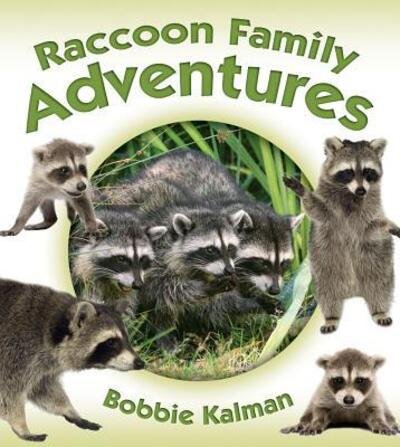 Cover for Bobbie Kalman · Raccoon Family Adventures (Hardcover Book) (2016)