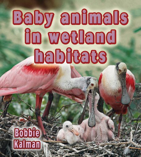 Cover for Bobbie Kalman · Baby Animals in Wetland Habitats (Habitats of Baby Animals) (Hardcover Book) (2011)