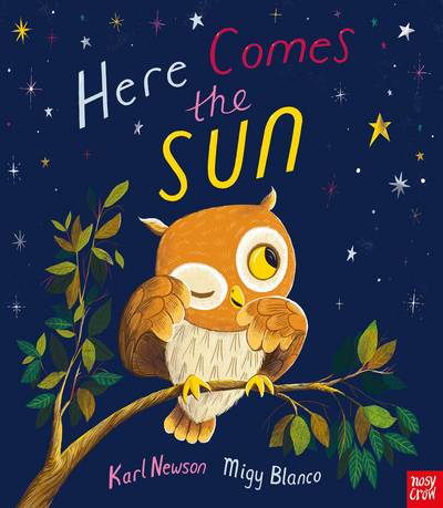 Cover for Karl Newson · Here Comes The Sun (Hardcover Book) (2017)