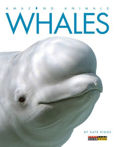 Cover for Kate Riggs · Amazing Animals: Whales (Paperback Book) (2014)