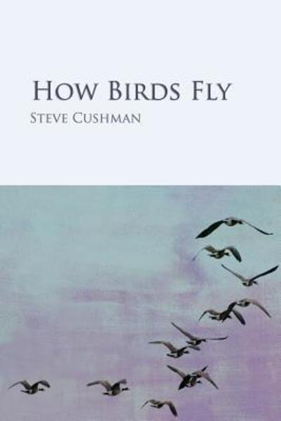 Cover for Steve Cushman · How Birds Fly (Paperback Book) (2018)