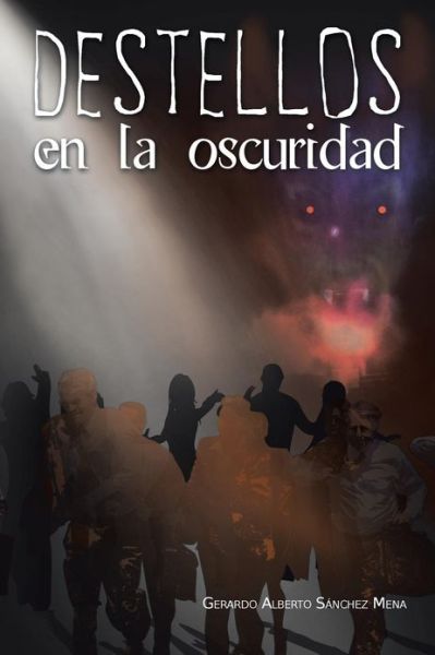 Cover for Gerardo Alberto Sanchez Mena · Destellos en La Oscuridad (Paperback Book) (2013)