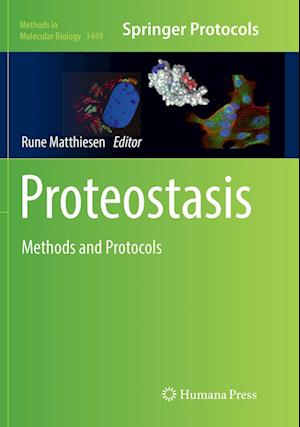 Cover for Proteostasis: Methods and Protocols - Methods in Molecular Biology (Paperback Book) [Softcover reprint of the original 1st ed. 2016 edition] (2018)